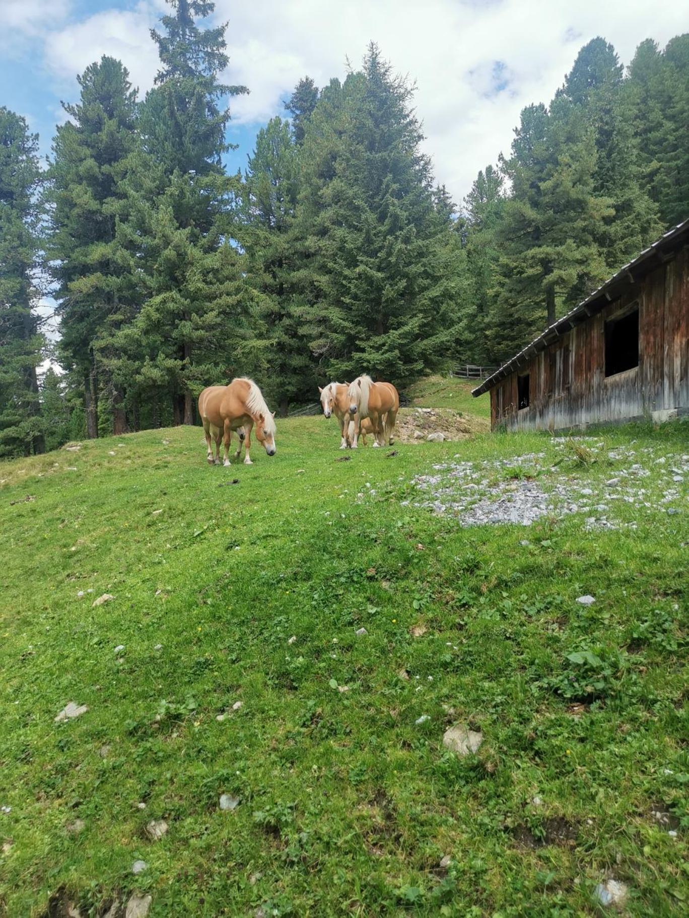 Aparthotel Pitztal Living Jerzens Zewnętrze zdjęcie